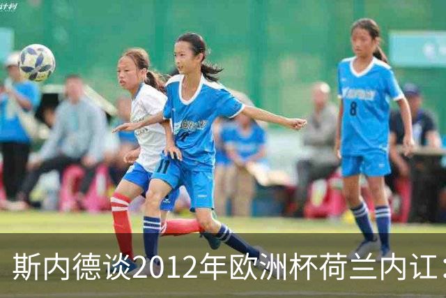 斯内德谈2012年欧洲杯荷兰内讧：亨特拉尔和范博梅尔酒后干了起来